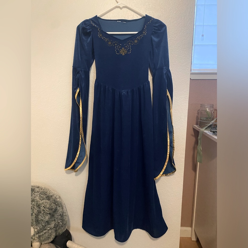 Girls Princess Costume / Renaissance Dress